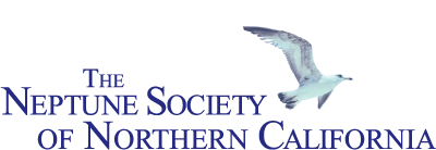 Neptune Society